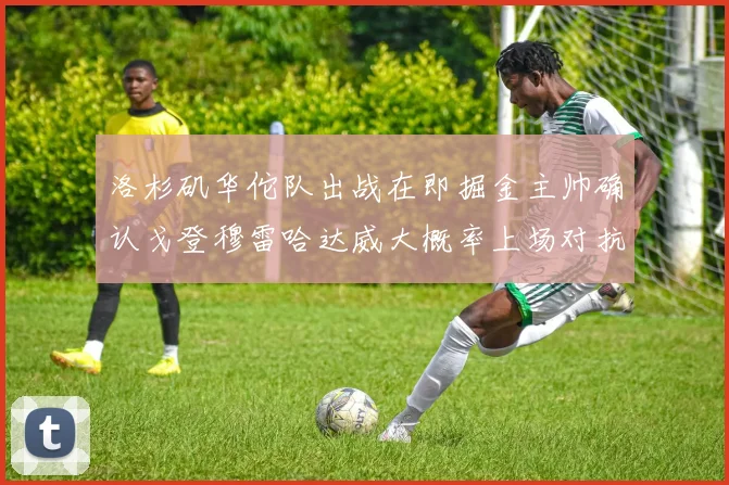 洛杉矶华佗队出战在即掘金主帅确认戈登穆雷哈达威大概率上场对抗湖人